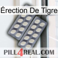 Érection De Tigre 07